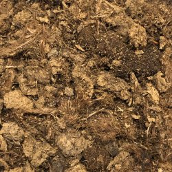 Lys Sphagnum, grov struktur