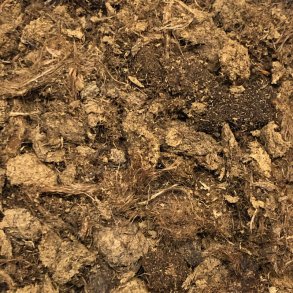 Lys Sphagnum, grov struktur