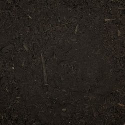 Xylit (forstadie kul)