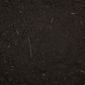 Xylit (forstadie kul)