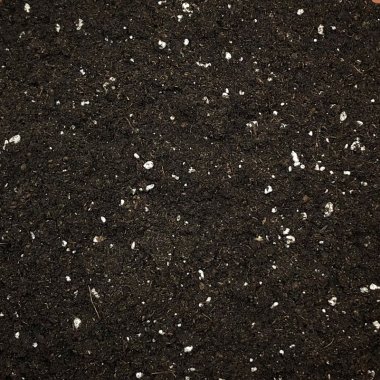 Så- & Stiklingejord