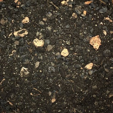 Citrus & Palmer dyrkningsmedier