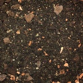 Citrusjord - unge planter