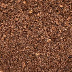 Carnivore-substrat, <br> fin struktur