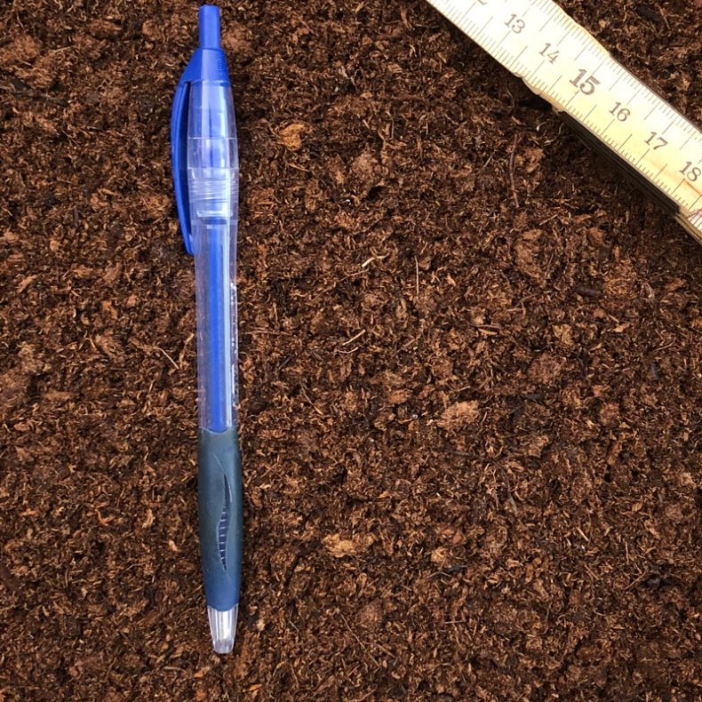 Carnivore-substrat, <br> fin struktur