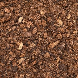 Carnivore-substrat, <br> medium struktur