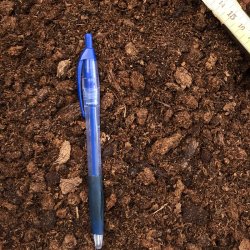 Carnivore-substrat, <br> medium struktur