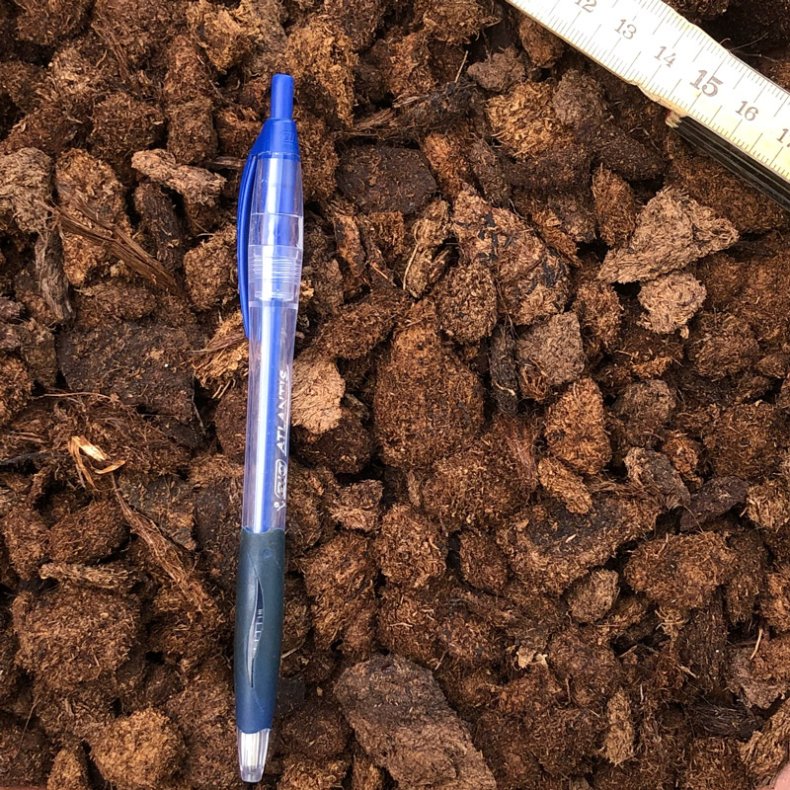 Carnivore-substrat, <br> grov struktur