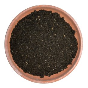 Kaktus- og sukkulentjord