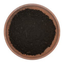 Xylit (forstadie kul)