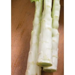 Kinesiks Aspargessalat