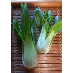 Pak-Choi - Black Summer