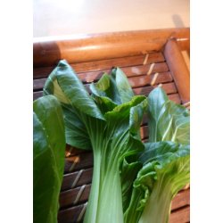 Pak-Choi - Black Summer