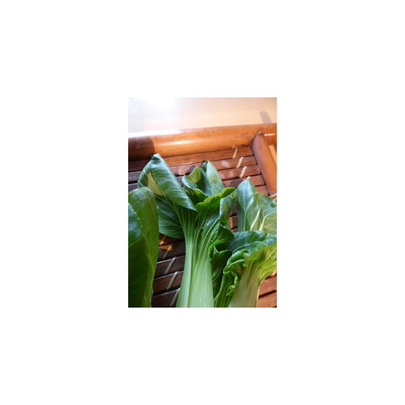 Pak-Choi - Black Summer