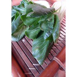 Pak-Choi - Black Summer