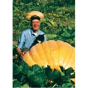 Grskar - Atlantic Giant