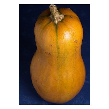 Grskar og squash