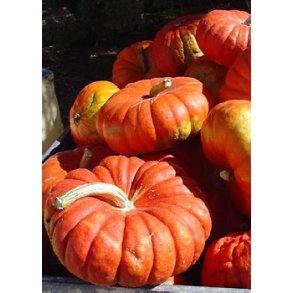 Grskar - Rouge vif d'tampes