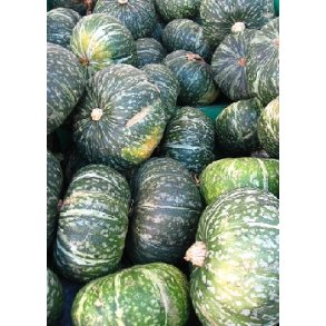 Grskar - grn Hokkaido