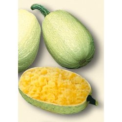 Grskar - Spagettigrskar 'Tivoli' 