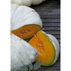 Grskar - Flat White Boer