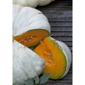 Grskar - Flat White Boer