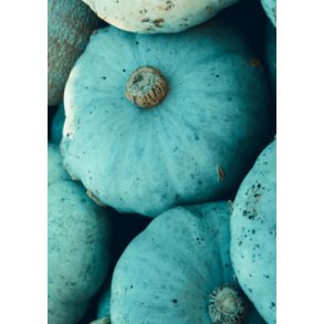 Grskar - Bl Hokkaido