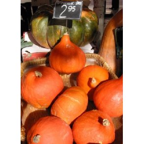 Grskar - Red Uchiki Kuri (Hokkaido)