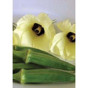 Okra - Millionaire F1