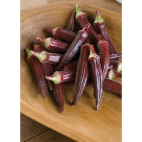 Okra - Carmine Splendor F1