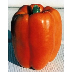 Peberfrugt - Gourmet