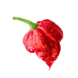 Chili - Trinidad Scorpion
