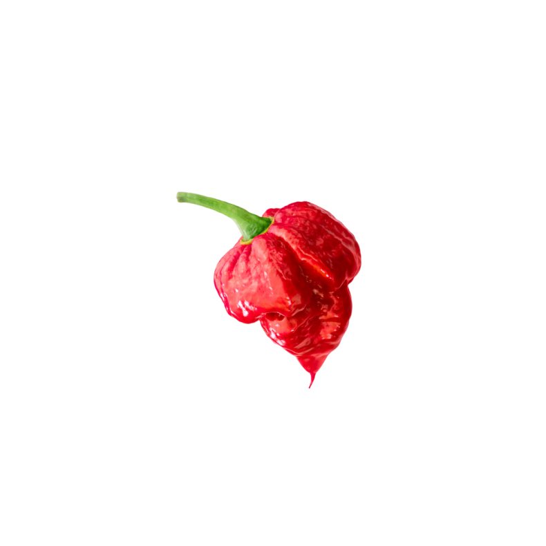 Chili - Trinidad Scorpion