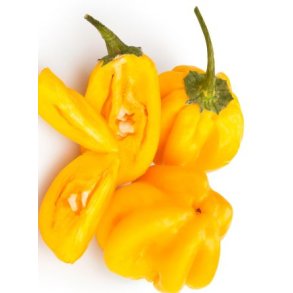 Chili - Habanero Citron