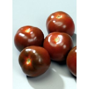 Tomat - Noire de Crim�e