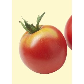 Tomat - Rose de Berne