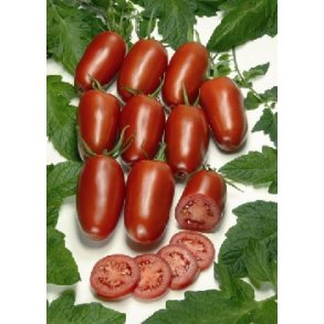 Tomat - Agora F1