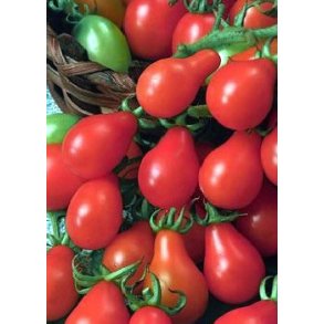 Tomat - Red Pear