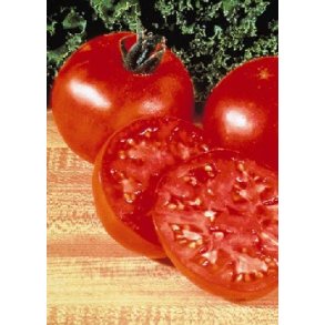 Tomat - Supersteak F1
