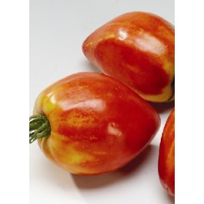 Tomat - <br/> Cuor di Bue / Oksehjerte