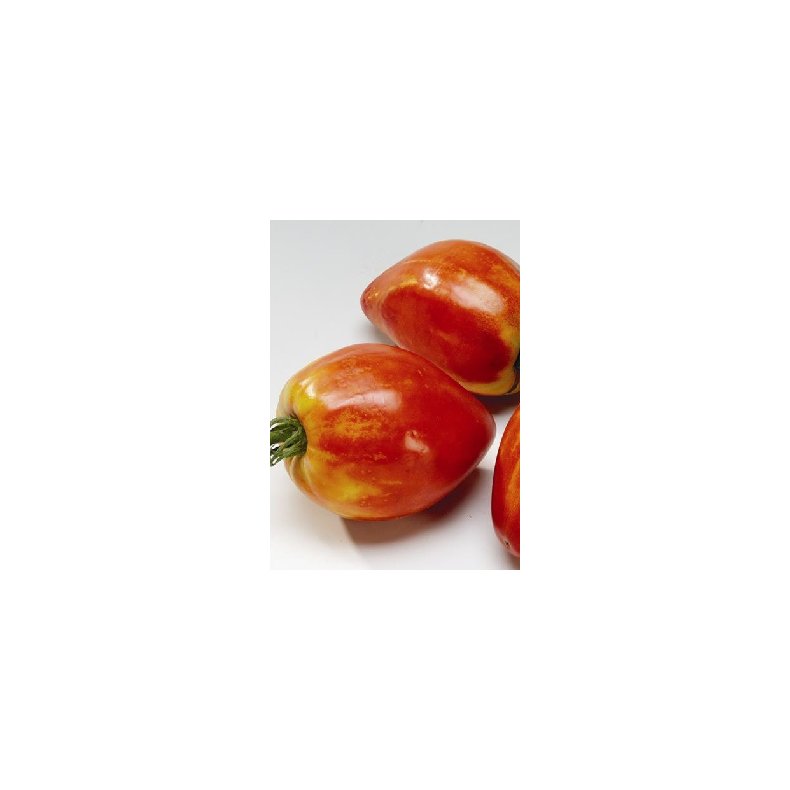 Tomat - <br/> Cuor di Bue / Oksehjerte