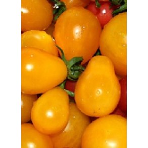 Tomat - Yellow Submarine