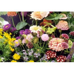 VB - Sommerfugleng Sydtyskland