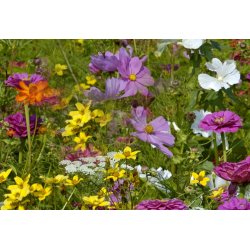 VB - Klosterhavens farvepragt