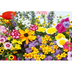 VB - Blomsterbeds Romantik