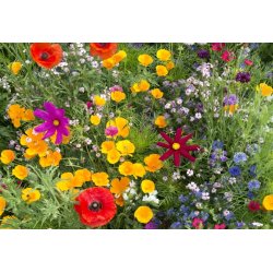 VB - Biernes Blomstereng