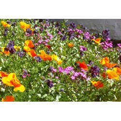 VB - Japansk Blomsterbed