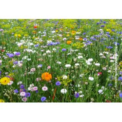 VB - Middelalder mix