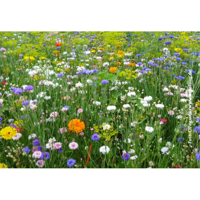 VB - Middelalder mix