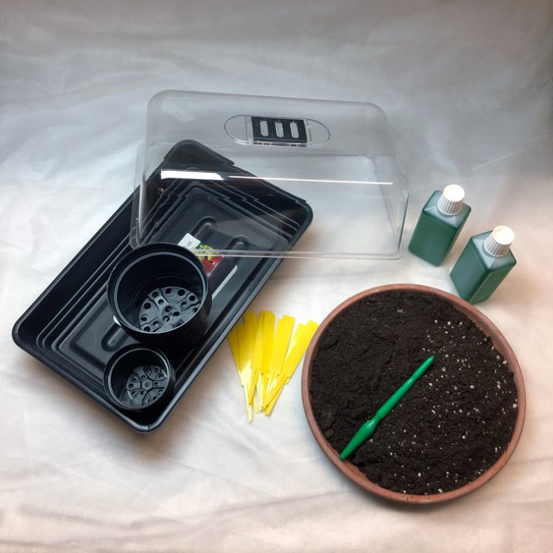 Dyrkningsst<br/>Urtidspark<br/>Det Store St